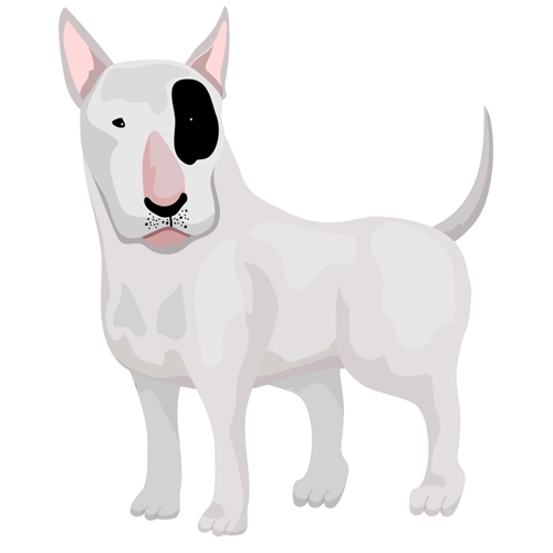 Dog Lovers Theme Bull Terrier Dog Transparent Sticker